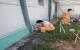 tuyen-ky-thuat-vien-chong-set
