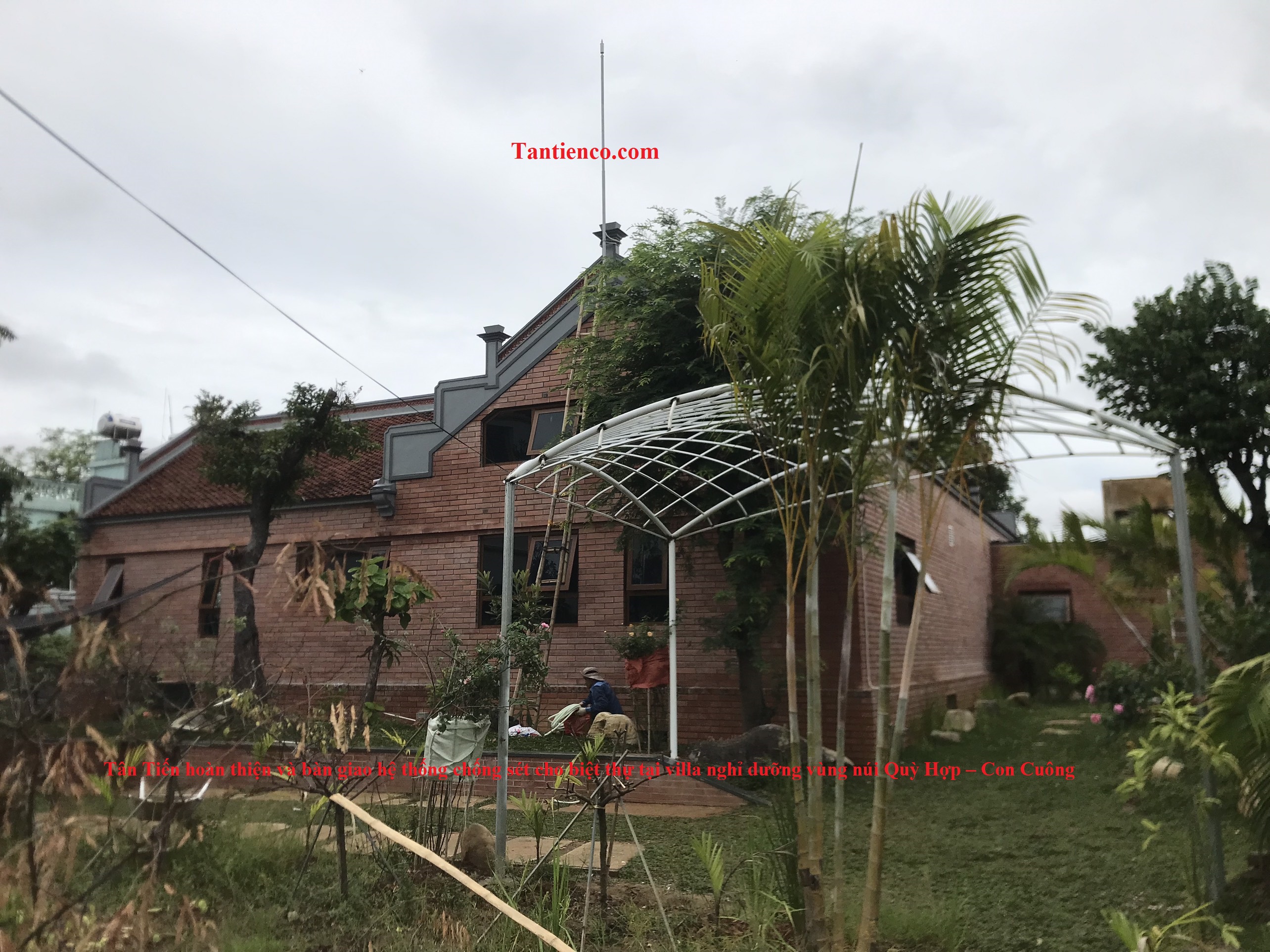 chong-set-biet-nghe-an